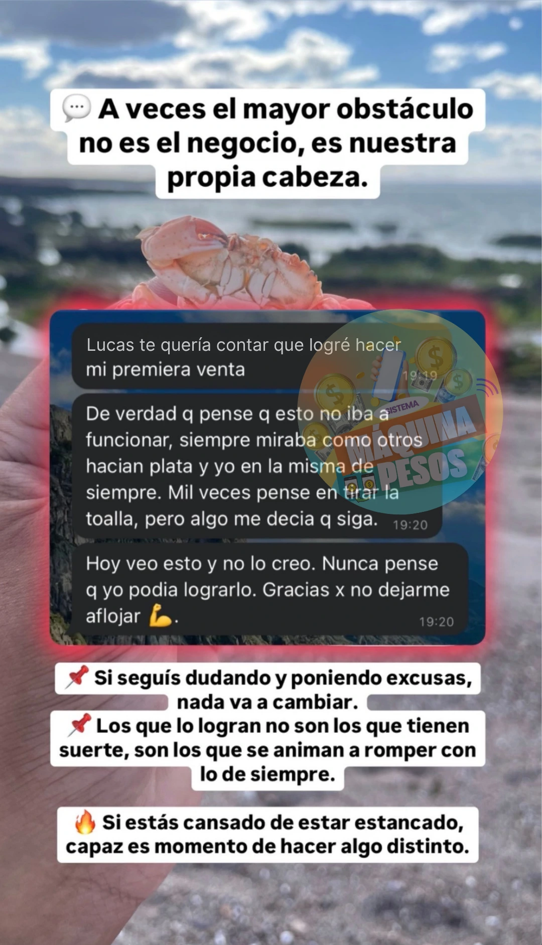 Testimonio 15